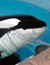Seaworld