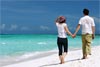 Timeshare Travelers