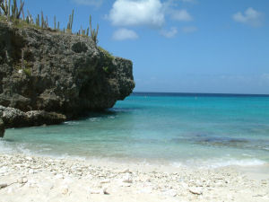 Bonaire Diving, Surfing and Swimming 