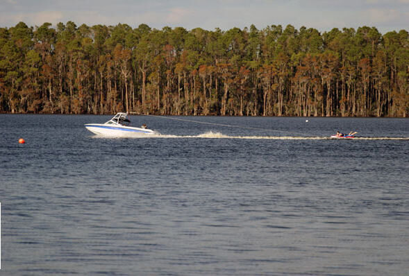 Area activities