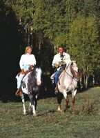 Ridge Top Village and Ridge Top Summit at Shawnee Resort - Horseback riding nearby