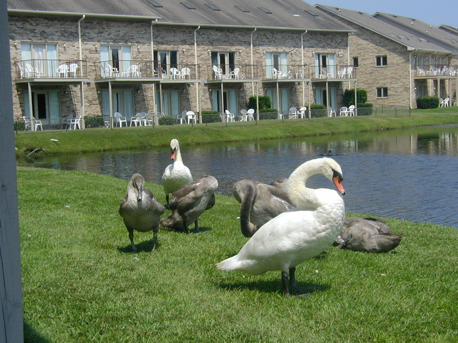 Presidential Villas at Plantation Resort - Grounds