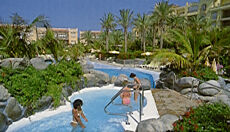 Palm Oasis - Pool