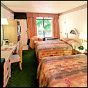 Hotel Room at the Sirata Beach Resort