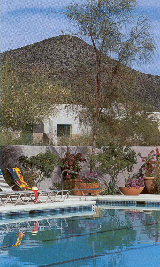 Starr Pass Golf Suites - Pool