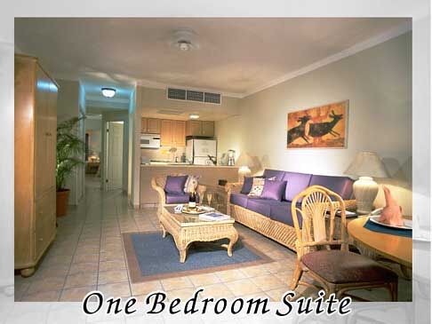 Villa del Palmar Vallarta - Unit Interior