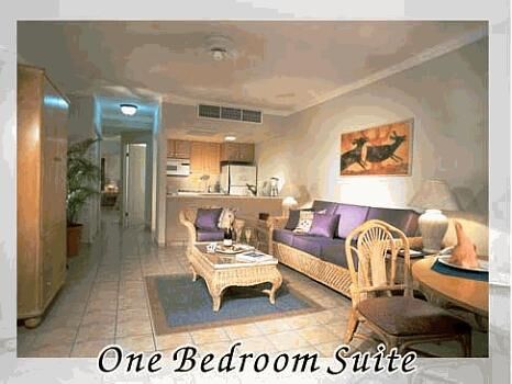 One Bedroom Suite at the Villa del Palmar Cabo San Lucas