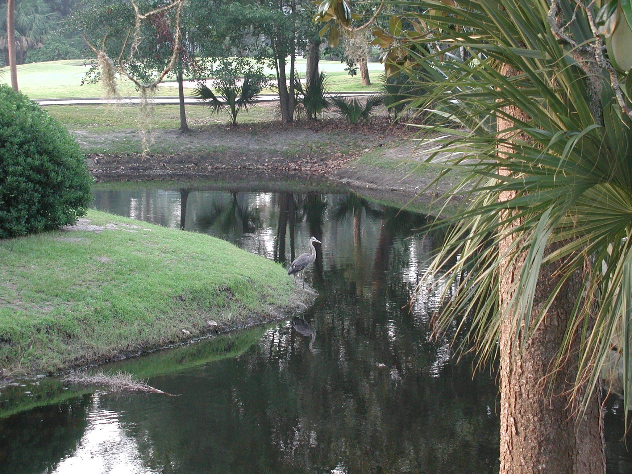 Cottages at Shipyard - View From Porch