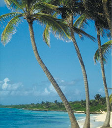 Ocean/Beach