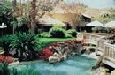 The Oasis Resort - Pool