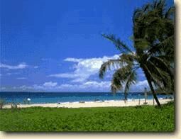 Area Beach