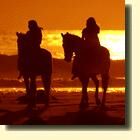 Area Horseback Riding 
