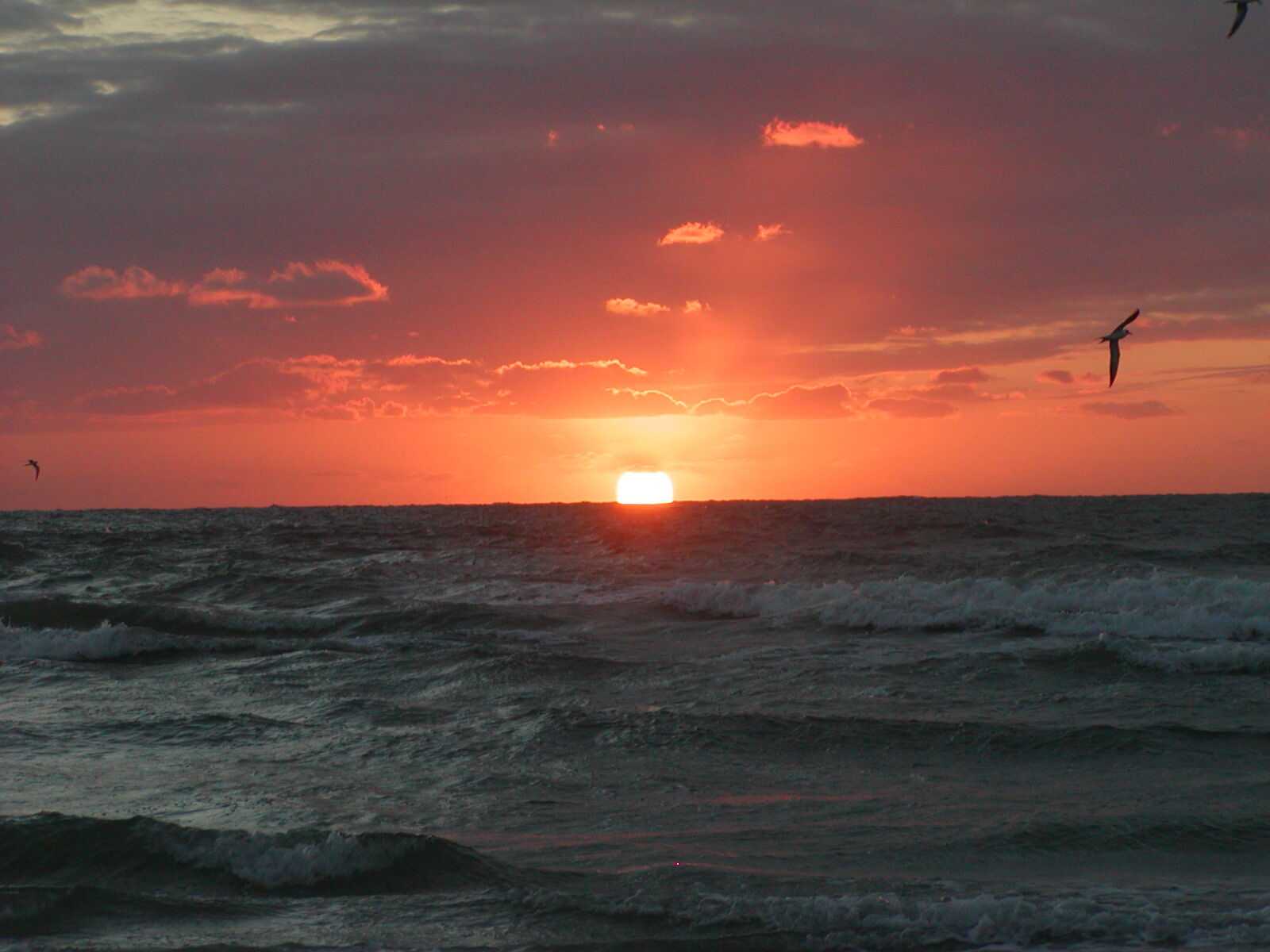 Sea Club V - Sunset