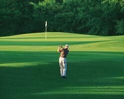 Nearby golf
