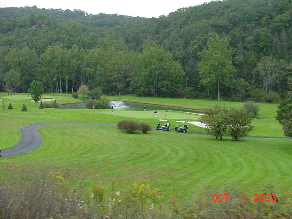 Area Golf