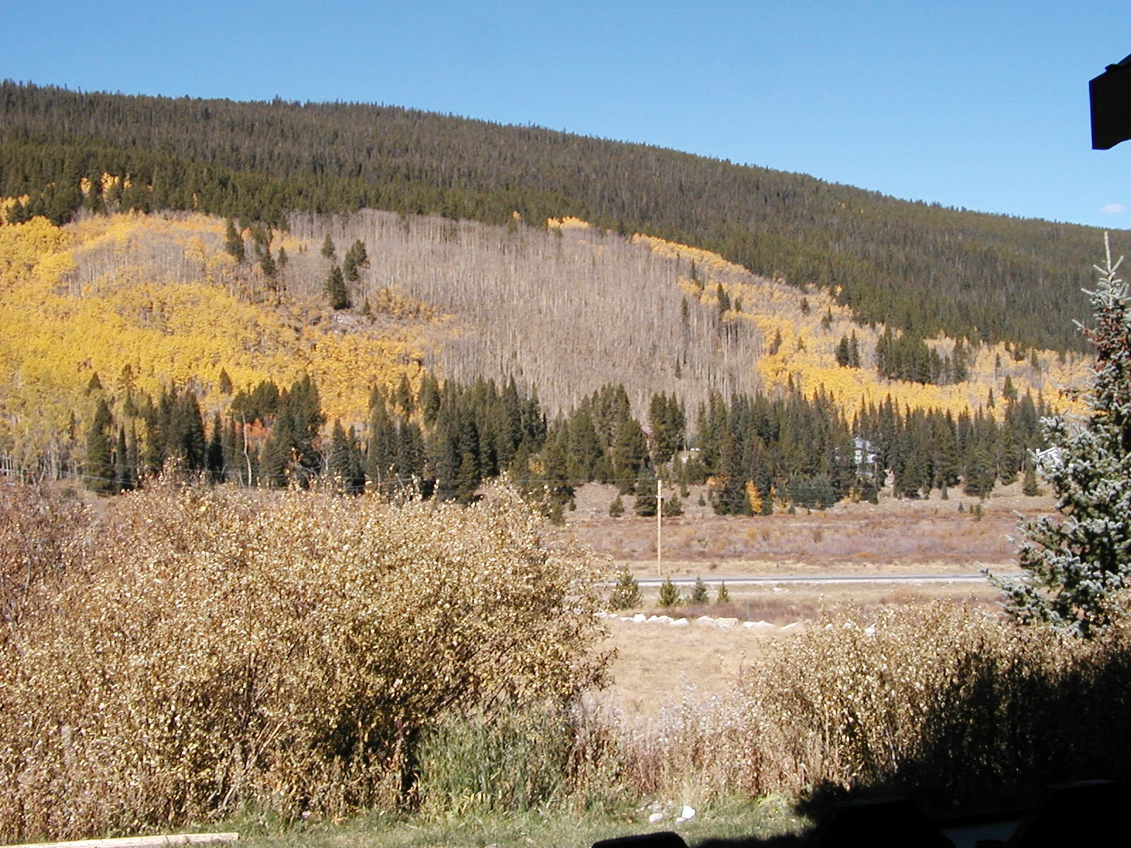 Blue River Condominiums - View From Deck