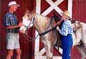Wyndham Resort at Fairfield Bay - Horesback riding