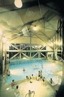 Carriage Hills Resort - Indoor/Outdoor Pool