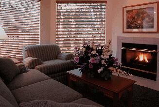 Whispering Woods - Living Room area