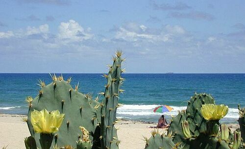 Delray Beach