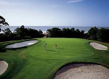 Area Golf