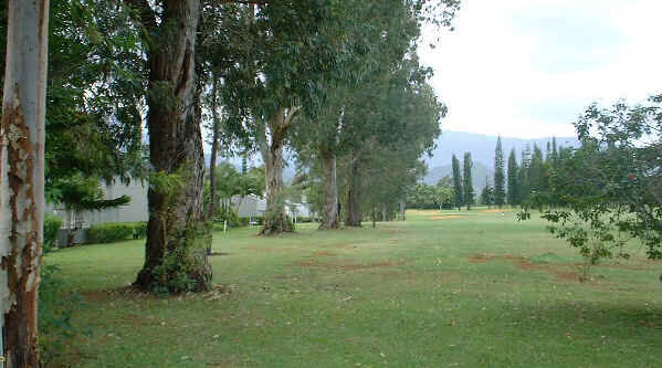 Princeville Golf Course