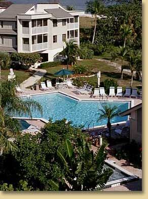 Shell Island Beach Club - Pool