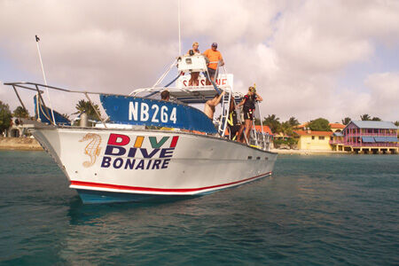 Divi Flamingo Beach Resort - Boat