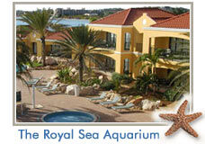 The Sea Aquarium Resort