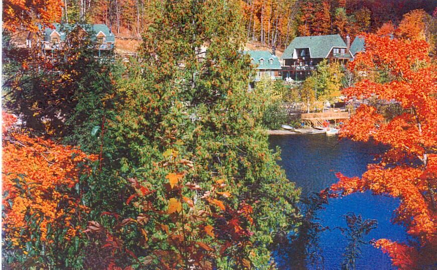 La Voliere du Mont-Tremblant
