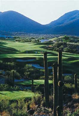 Starr Pass Golf Suites - Golf Course