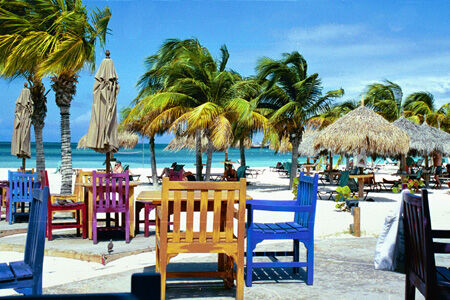 Divi Aruba Phoenix Beach Resort - Beach