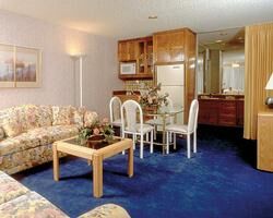 Americana Village - Unit Living Area