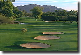 Orange Tree Golf Resort - Golf Course