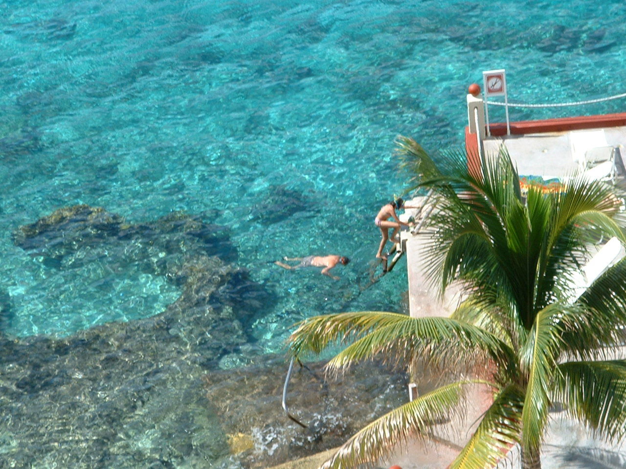 Cozumel Palace - Snorkeling