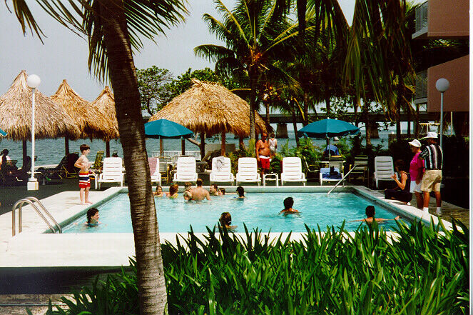 The Hawks Nest - Pool