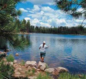 Fishing at the Pinetop Resort