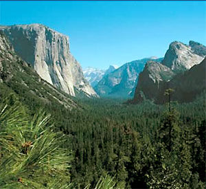 Area Scenery