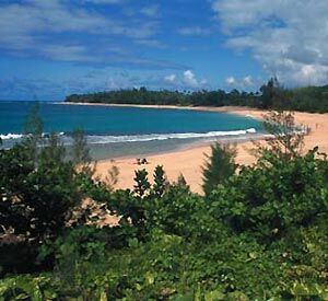 Kapaa Shore - Beach