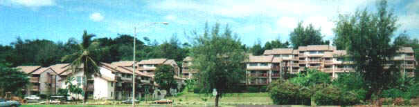 Banyan Harbor