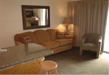 The Christie Lodge - Unit Living Area