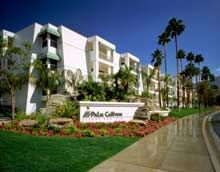 Palm Canyon Resort and Spa