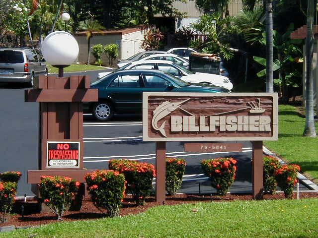 Kona Billfisher