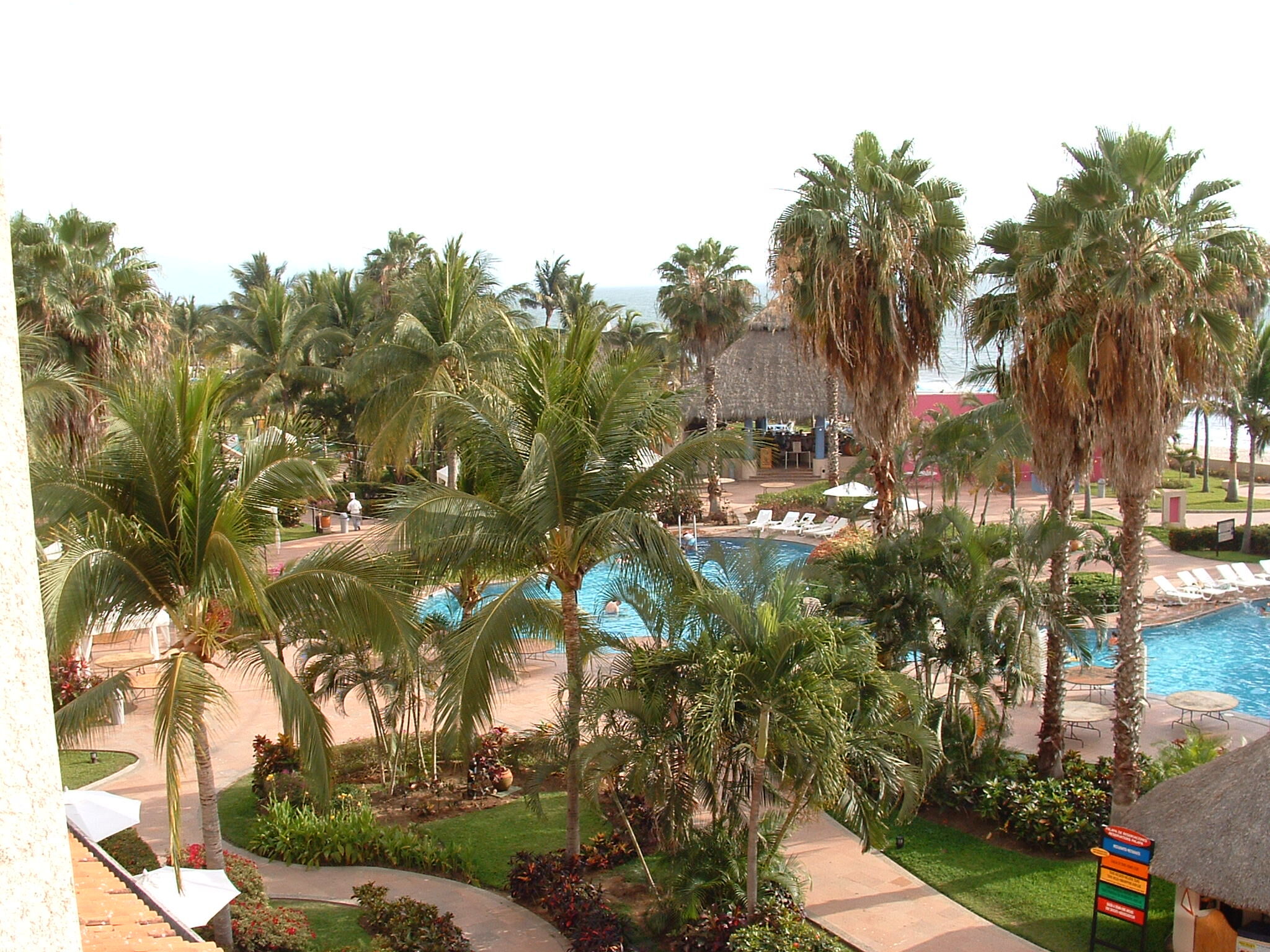 Vallarta Palace - Pool