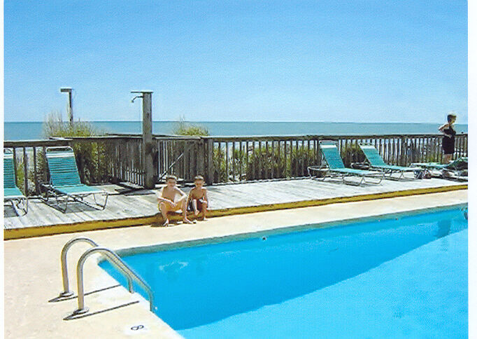 Ocean Forest Colony - Pool