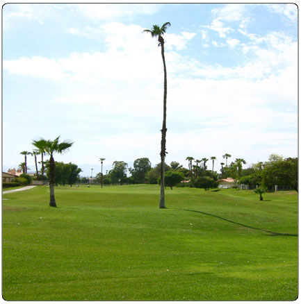 Indian Palms Intervals - Golf Course