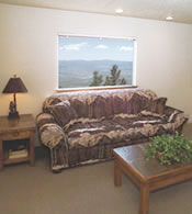 Perennial Vacation Club at Tahoe Village - unit living area