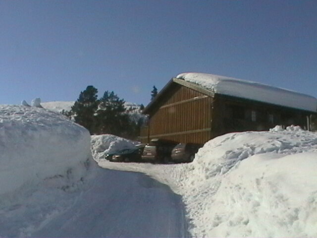 Club Hallbjonn Telemark