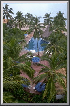 Vallarta Torre