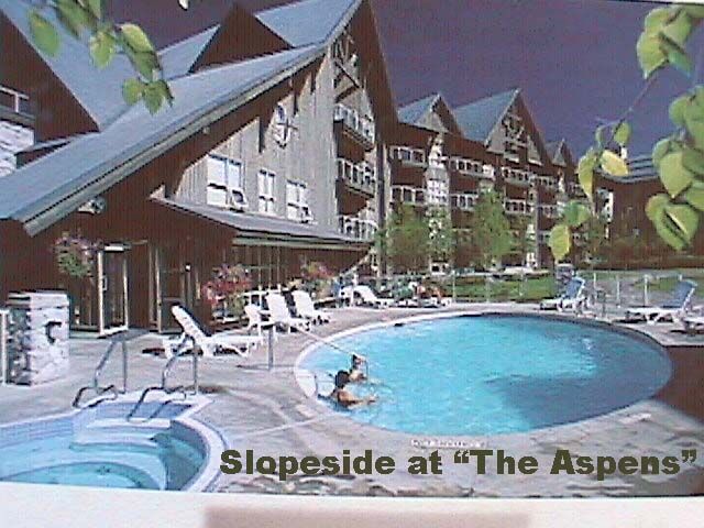 Whiski Jack at the Aspens - Pool